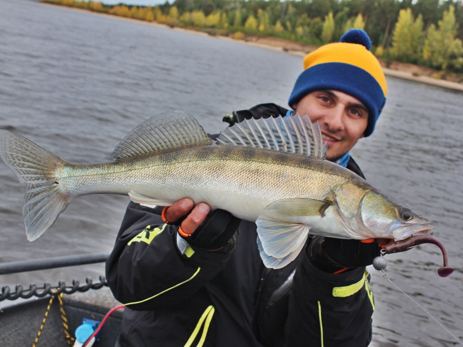 ВИБРОХВОСТЫ СЪЕДОБНЫЕ LJ PRO SERIES MINNOW 2.2IN (05.60)/S13