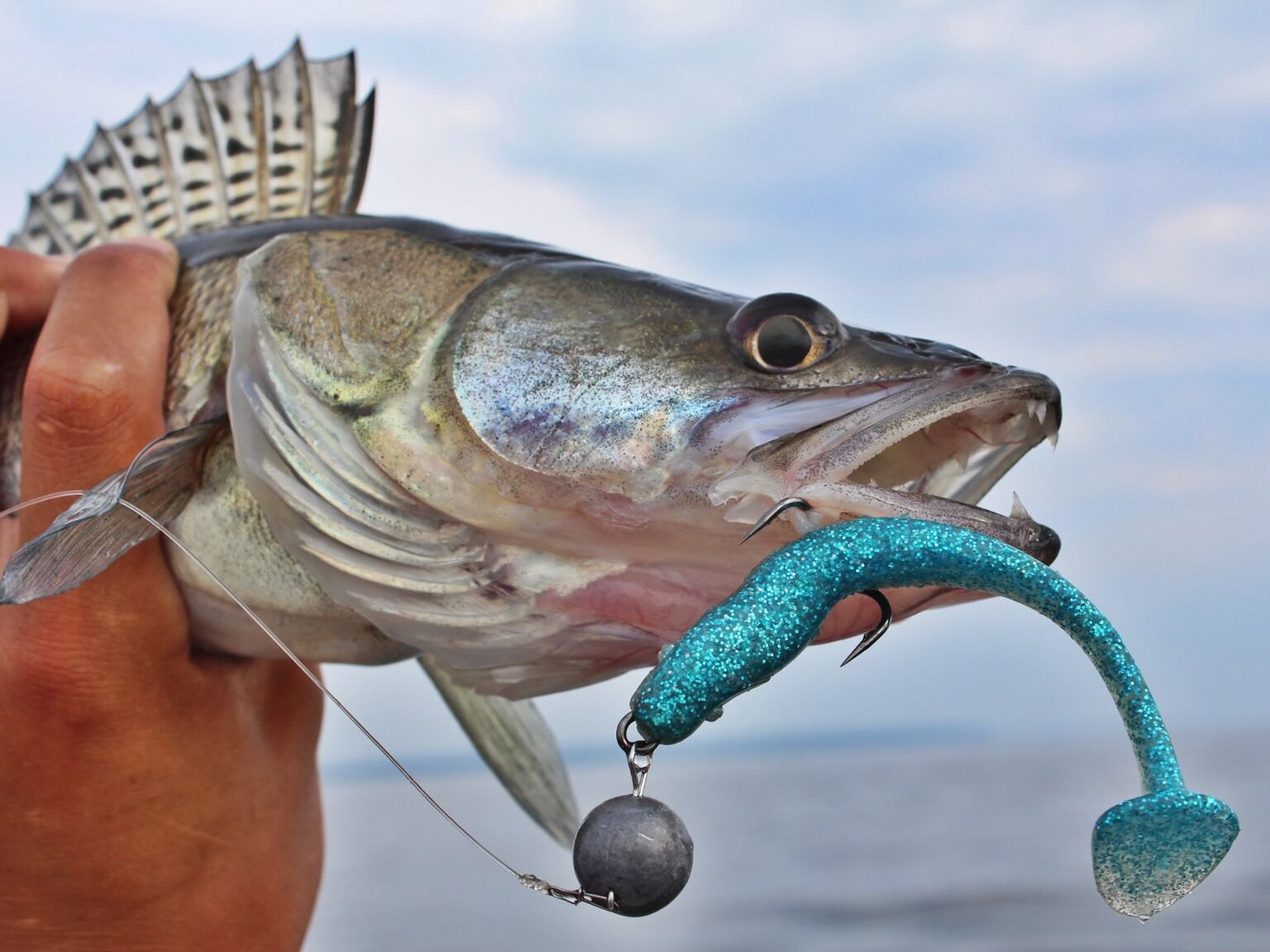 ВИБРОХВОСТЫ СЪЕДОБНЫЕ LJ PRO SERIES MINNOW 5.5IN (13.90)/T05