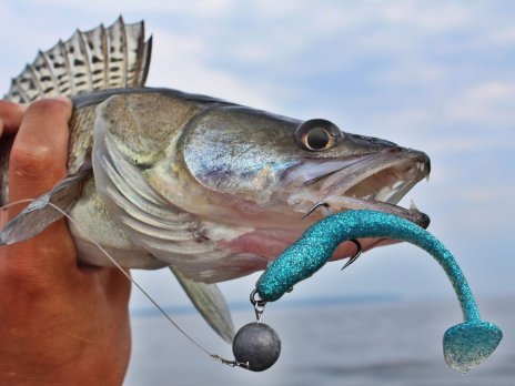 ВИБРОХВОСТЫ СЪЕДОБНЫЕ LJ PRO SERIES MINNOW 5.5IN (13.90)/T05